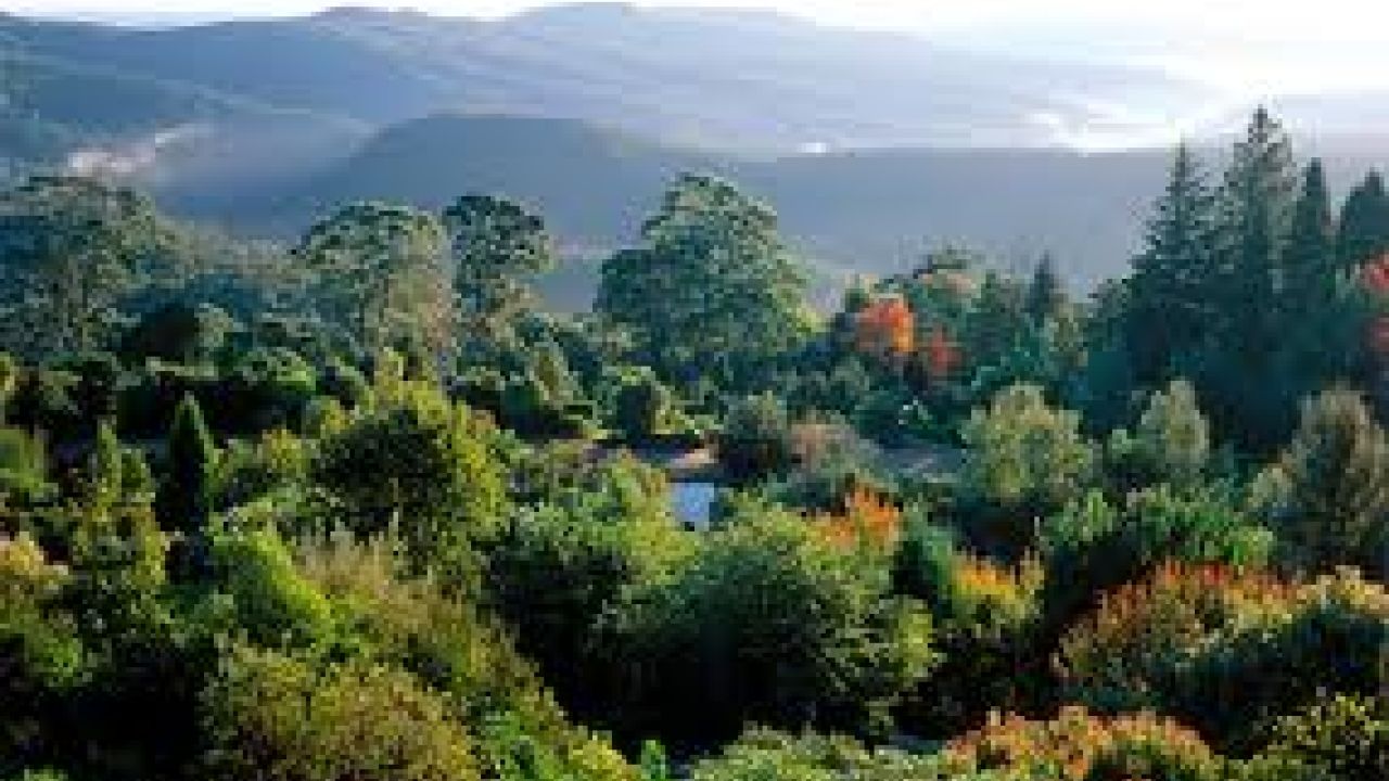 Blue Mountain, Australia