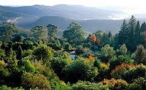 Blue Mountain, Australia