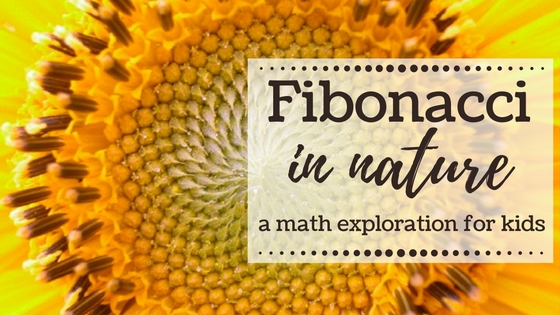 Fibonacci-in-Nature-header
