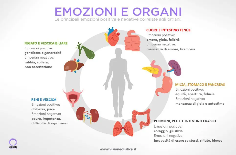 OlisticMap  Corso ONLINE di Metamedicina® a IN DIRETTA o IN DIFFERITA -  riconosci le tue emozioni?